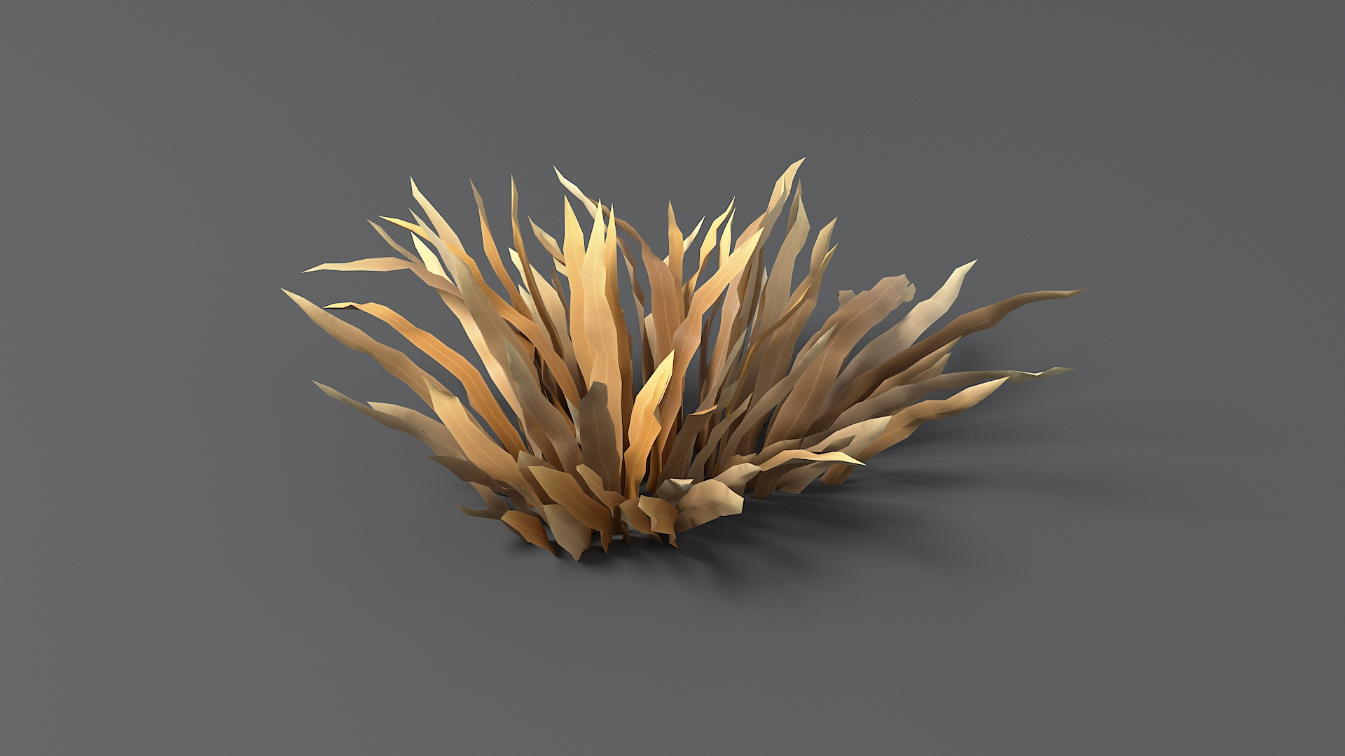 3D Model Cartoon Dry Grass 06 - TurboSquid 2047533