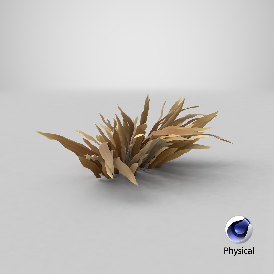 3D model Cartoon Dry Grass 06 https://p.turbosquid.com/ts-thumb/Tb/Jt85ck/Ue/stemcell_cinema_4d_physical_render/png/1680023432/1920x1080/fit_q87/75423b6ecffa9e4238047500cf606c44d7da18aa/stemcell_cinema_4d_physical_render.jpg