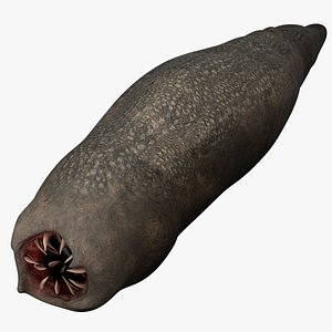 Monster Worm