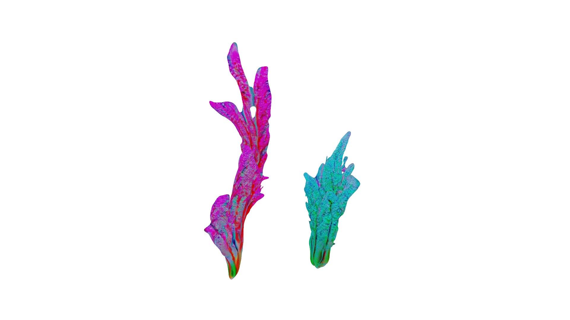 Seaweed Animation Model 3D Model - TurboSquid 2221434