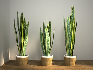 plant pot 3D