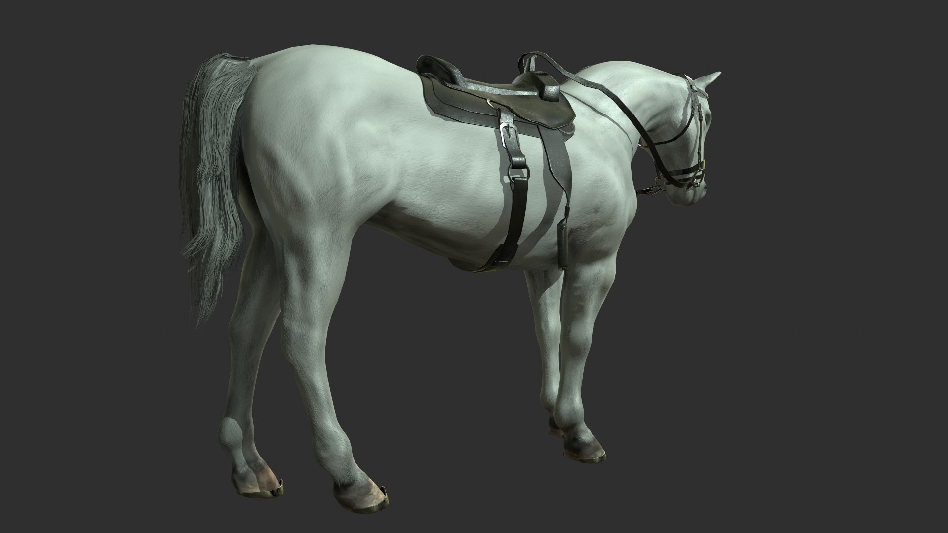 3D Horse Model - TurboSquid 1929334