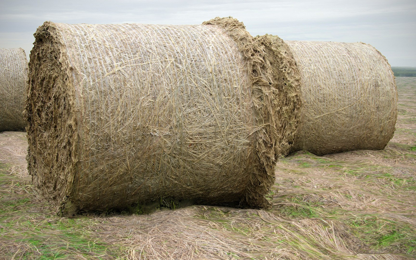 3D farmland scanned https://p.turbosquid.com/ts-thumb/Tb/rsSsCG/GNTralS4/56565666677/jpg/1502206319/1920x1080/fit_q87/b5b7c7ab7013315abd57cb5c9803253dcaa89b75/56565666677.jpg