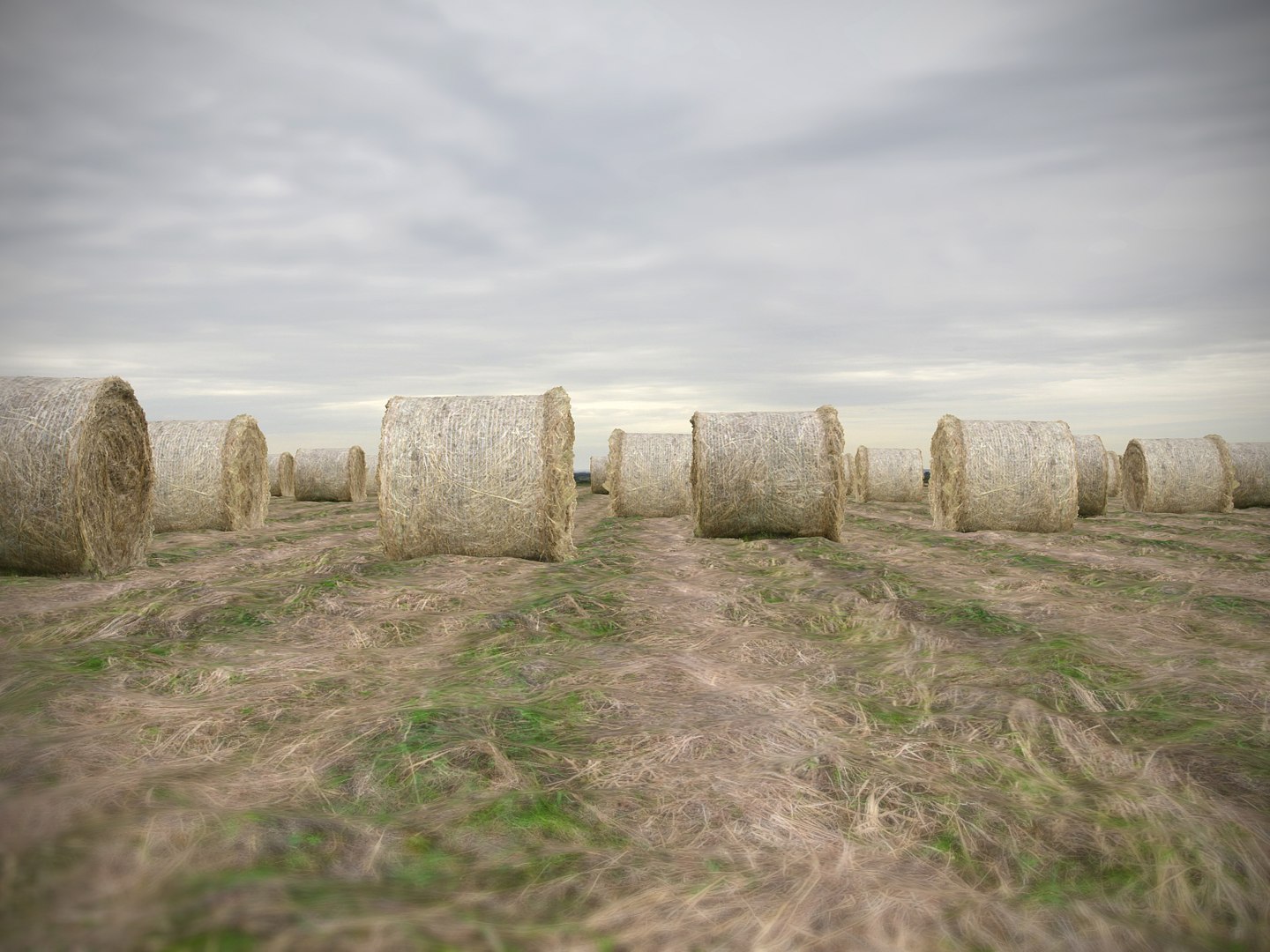3D farmland scanned https://p.turbosquid.com/ts-thumb/Tb/rsSsCG/KEH2jCTN/676778/jpg/1502206183/1920x1080/fit_q87/d02173b1a53576d4006a1c3d73dd6646c016f902/676778.jpg
