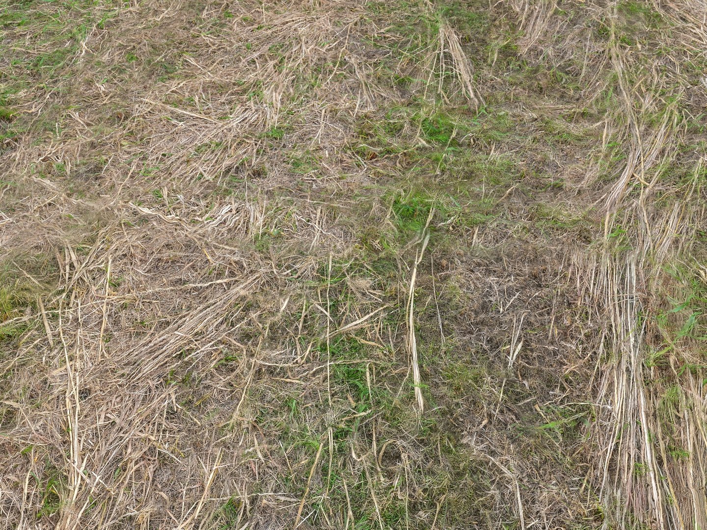 3D farmland scanned https://p.turbosquid.com/ts-thumb/Tb/rsSsCG/O3i9J8E1/0090900/jpg/1502206322/1920x1080/fit_q87/7a9bca03d438560dd853ceb023b95fa19764323c/0090900.jpg