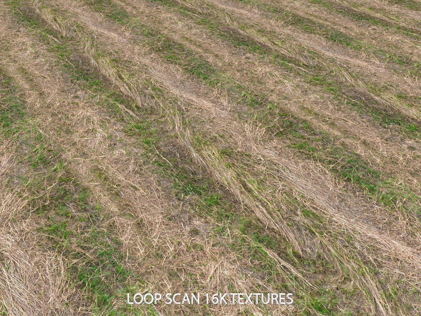 3D farmland scanned https://p.turbosquid.com/ts-thumb/Tb/rsSsCG/ipE4kpKC/676777/jpg/1502206198/1920x1080/fit_q87/6e3099f916c3141fcac54959d15a9efac7f48a4b/676777.jpg
