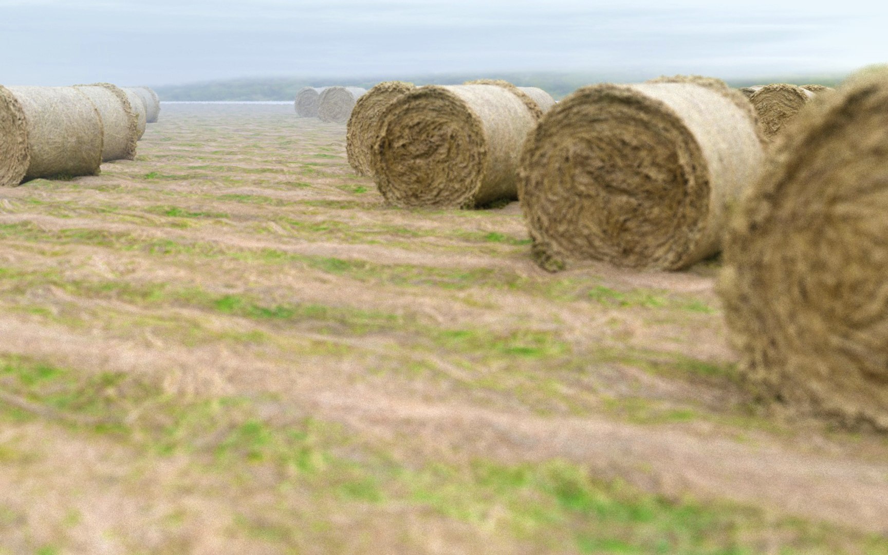 3D farmland scanned https://p.turbosquid.com/ts-thumb/Tb/rsSsCG/jUc7kVtq/56565465666/jpg/1502206180/1920x1080/fit_q87/4b1ce4217e1b2408c7bd9a06a81f3d5d5b088d61/56565465666.jpg