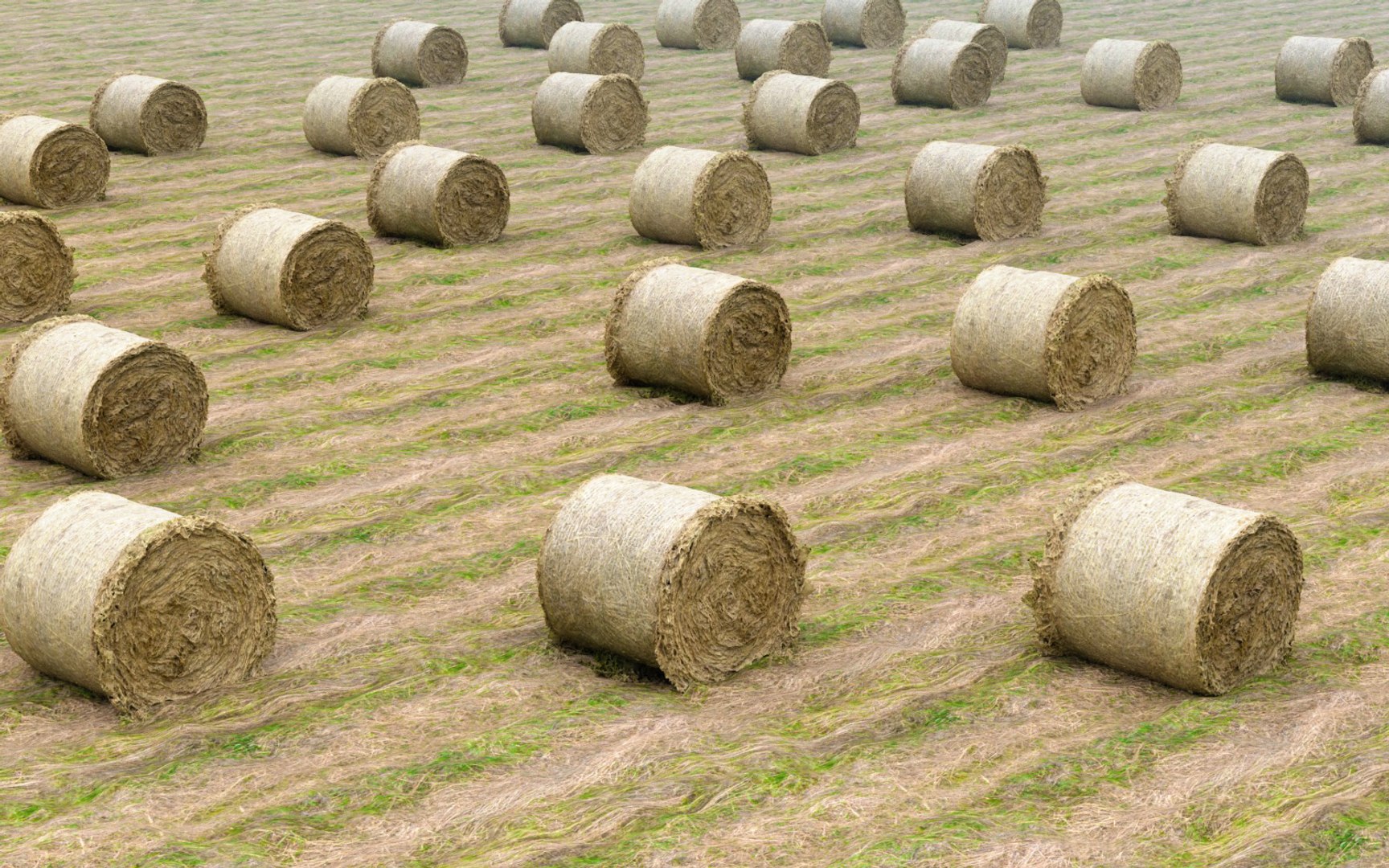3D farmland scanned https://p.turbosquid.com/ts-thumb/Tb/rsSsCG/pQX8IG72/6677888/jpg/1502206170/1920x1080/fit_q87/12b3a66dec4b1cba43b9011af2a9a45de3d53026/6677888.jpg