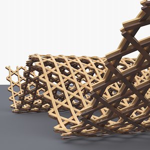 Layered Beams Waves Structure 3D model