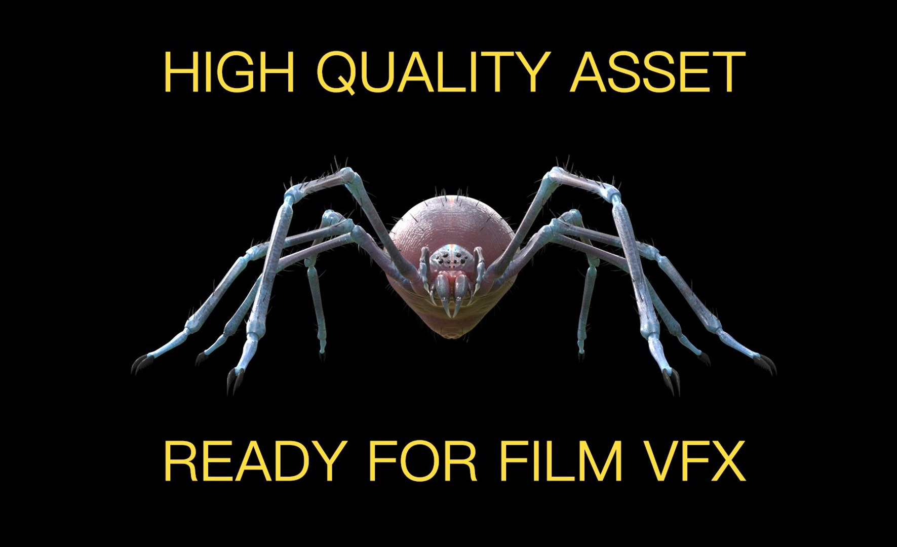 production spider rigged 3D model https://p.turbosquid.com/ts-thumb/Tc/DtHNRO/OMuIHNbd/spider/jpg/1526492698/1920x1080/fit_q87/d5929a469267ab7d12471a268c6750a72f797f5f/spider.jpg