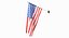 Animated Flag