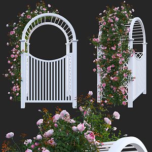 3D Climbing Rose - Rose Gate