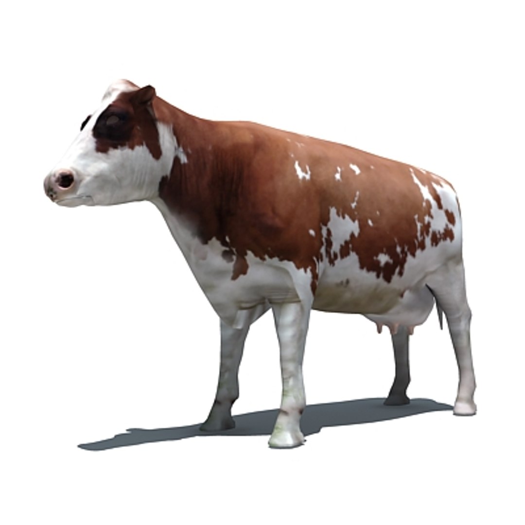 cow 3d 3ds https://p.turbosquid.com/ts-thumb/Tc/J2Dyz1/5lYYVr06/cowprv1/jpg/1246392208/1920x1080/fit_q87/2520856332a322cdf8087ea0b72b0146b4686c04/cowprv1.jpg