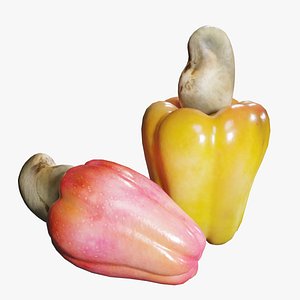 cashew nuts 3D