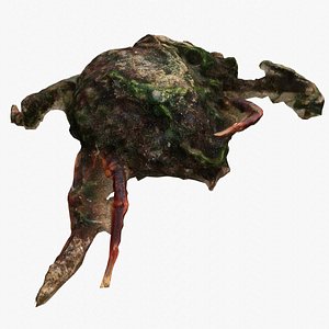 3D model Dead Crab 1