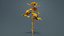 Chrysanthemum Garden Mum Morifolium Remastered