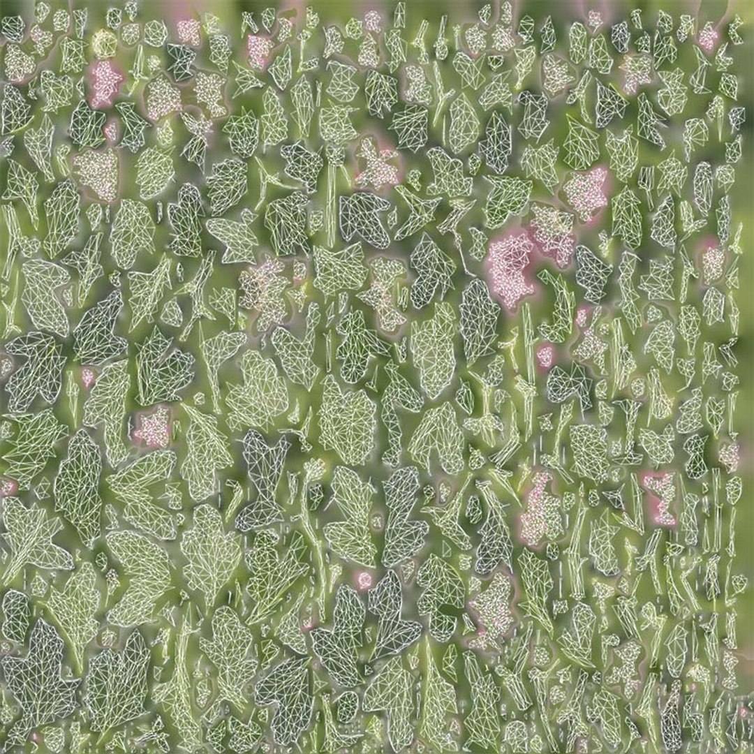 3D model Chrysanthemum Garden Mum Morifolium Remastered https://p.turbosquid.com/ts-thumb/Tc/Zyj4rL/tY/chrysanthemum_garden_mum_morifolium_uv/jpg/1740372901/1920x1080/fit_q87/44206346946828fd5bf2bcc7c28b01b01d13304c/chrysanthemum_garden_mum_morifolium_uv.jpg
