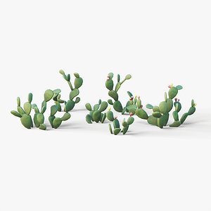 3D Prickly pear cactus