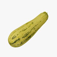 Zucchini Cucurbita pepo - Extreme Definition 3D Scanned