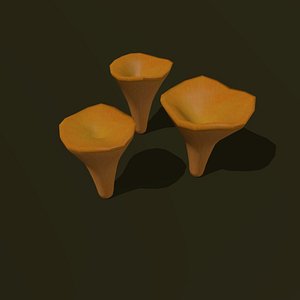 fungus cibarius cartoon 3ds
