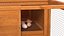 Wooden Small Chicken Coop with Chickens Rigged for Modo