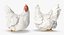 Wooden Small Chicken Coop with Chickens Rigged for Modo