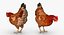 Wooden Small Chicken Coop with Chickens Rigged for Modo