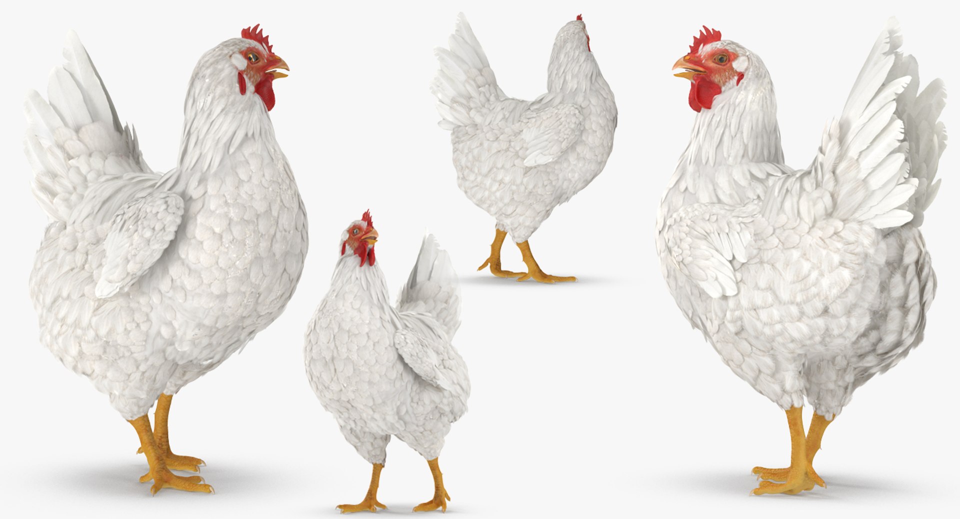 Wooden Small Chicken Coop with Chickens Rigged for Modo 3D https://p.turbosquid.com/ts-thumb/Tc/hH6mCW/dj/woodensmallchickencoopwithchickensriggedmb3dmodel027/jpg/1644274779/1920x1080/fit_q87/bd6c4d2efe4c77897db8619c15e41c54080e1b17/woodensmallchickencoopwithchickensriggedmb3dmodel027.jpg