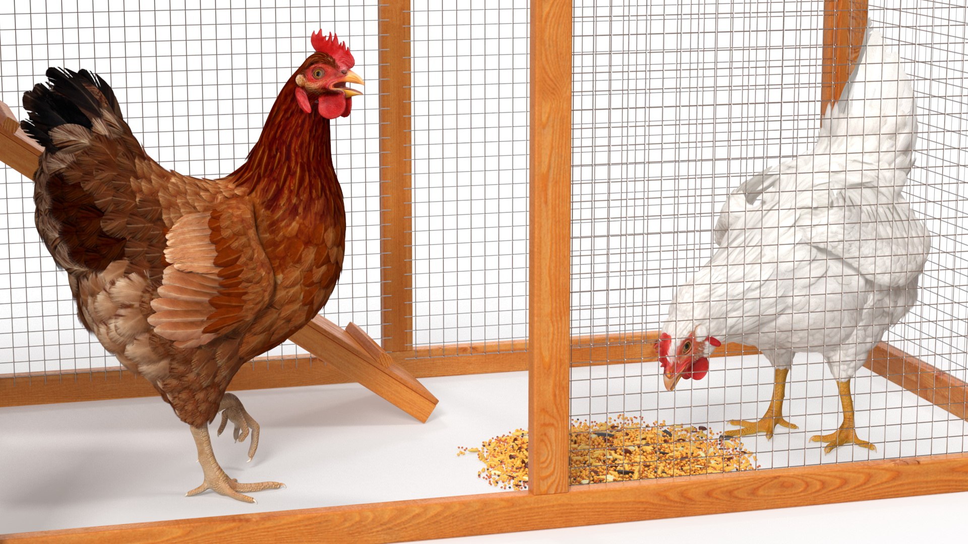 Wooden Small Chicken Coop with Chickens Rigged for Modo 3D https://p.turbosquid.com/ts-thumb/Tc/hH6mCW/ga/woodensmallchickencoopwithchickensriggedmb3dmodel015/jpg/1644274739/1920x1080/fit_q87/a5ad13dd19546bb4840d8be7368e68d63d31761c/woodensmallchickencoopwithchickensriggedmb3dmodel015.jpg