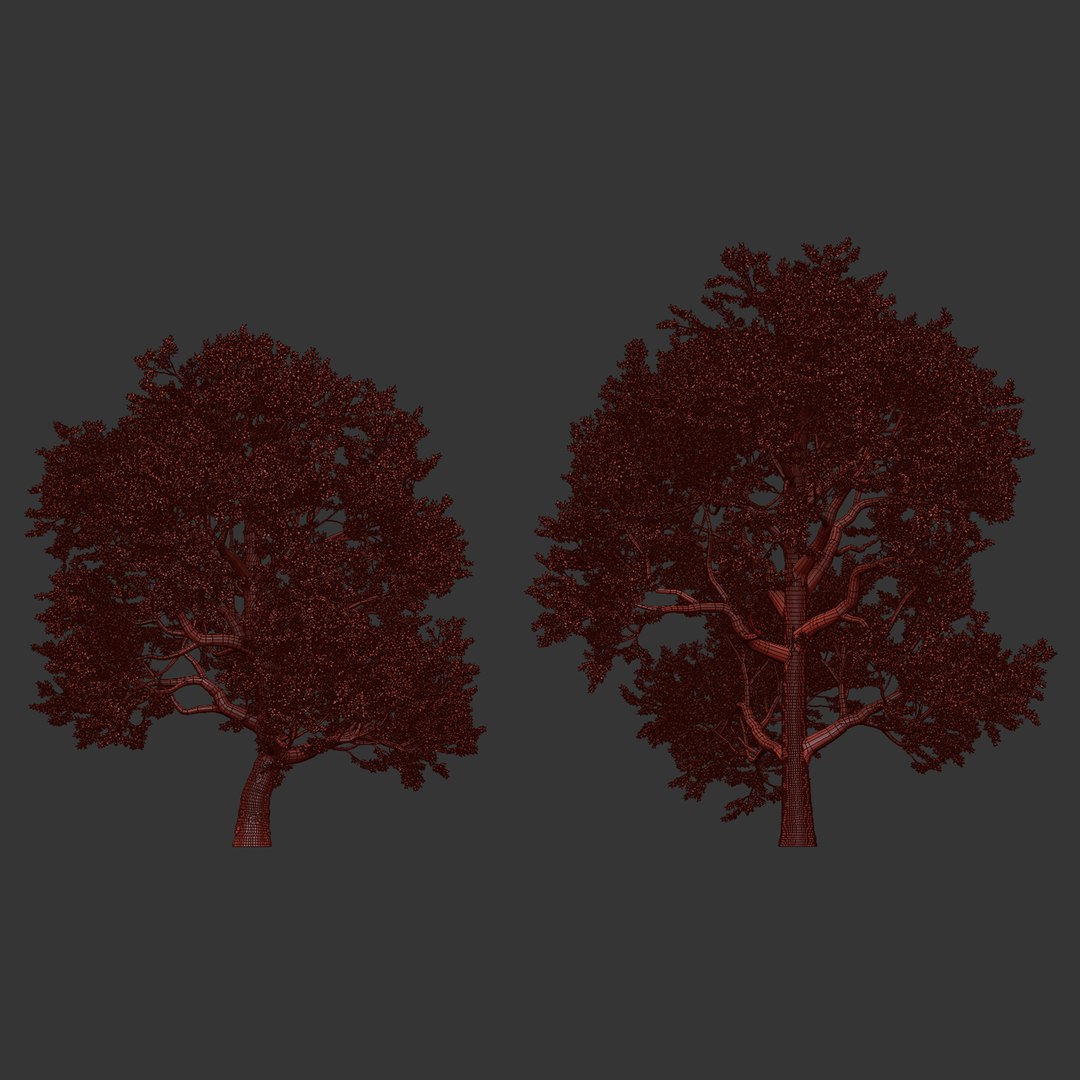 Tree 3D Models For Natural Renders Vol 296 Model - TurboSquid 2441535