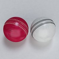Cricket Ball Standard and Warn