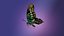 Butterfly Tayled Jay 3D model