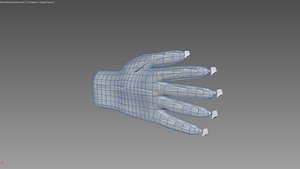 Ice hand