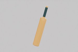 Cricket Bat 3D model