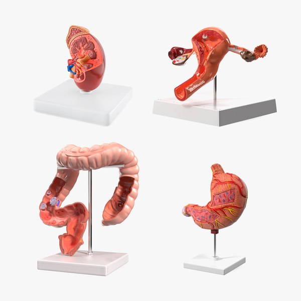 의료 기기 3D 모델 다운로드 용 | TurboSquid