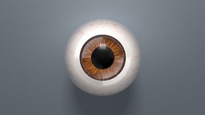 3D eyeball eye ball