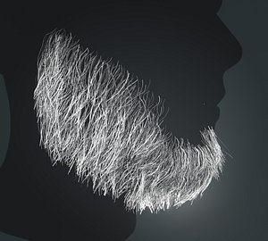 3D Beard RealTime 12 Version 1