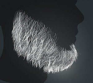 Beard RealTime 12 Version 1