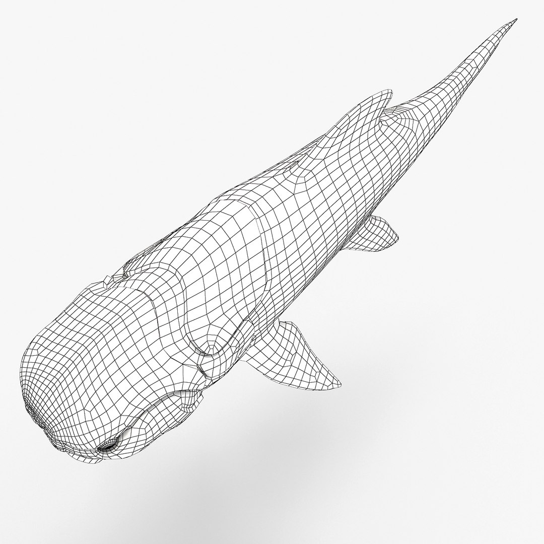 max dunkleosteus fishes devonian https://p.turbosquid.com/ts-thumb/Td/aABz5i/0M3rPUcY/m2/jpg/1373233373/1920x1080/fit_q87/7aaf4efac55933dd9493918adee27bf76286a63e/m2.jpg