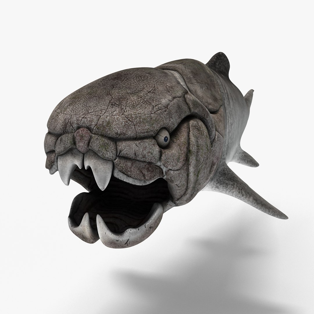 max dunkleosteus fishes devonian https://p.turbosquid.com/ts-thumb/Td/aABz5i/5ArRuBBl/d9/jpg/1373233373/1920x1080/fit_q87/726dd2c0ea2202d87dac8809c57ab5ad0f4a81e1/d9.jpg