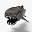 Dunkleosteus