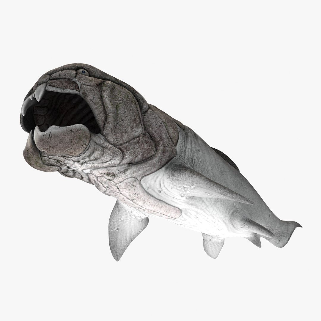 max dunkleosteus fishes devonian https://p.turbosquid.com/ts-thumb/Td/aABz5i/5OvaUOMM/d3/jpg/1373233373/1920x1080/fit_q87/7557c4a6efe7456a9a855204b40525befa11fcec/d3.jpg