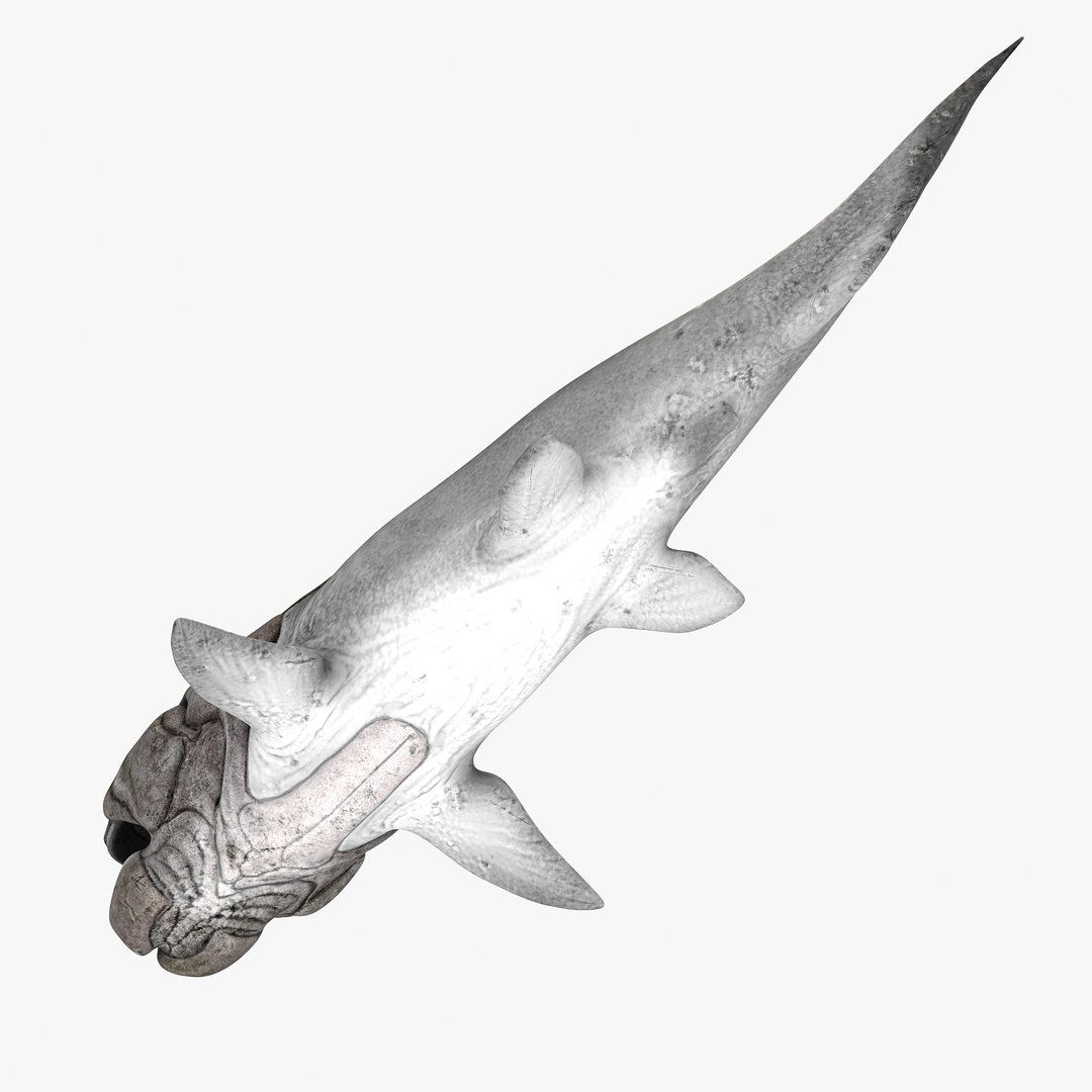 max dunkleosteus fishes devonian https://p.turbosquid.com/ts-thumb/Td/aABz5i/F4NnWFBd/d6/jpg/1373233373/1920x1080/fit_q87/1487d2d54d1fce857ab49734338baa4b007dfbbf/d6.jpg
