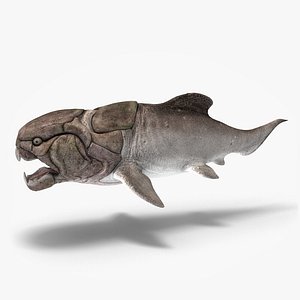 max dunkleosteus fishes devonian