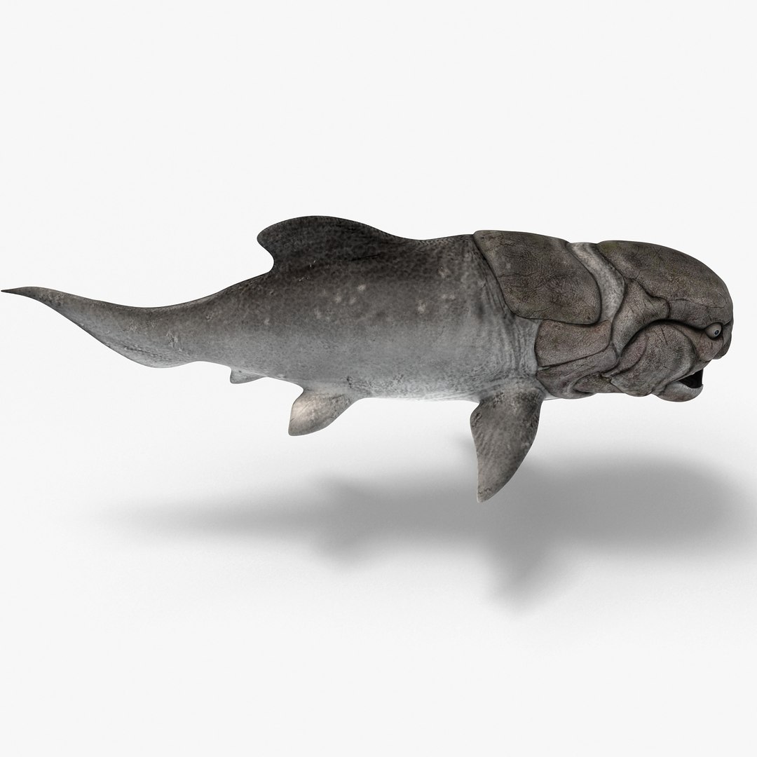 max dunkleosteus fishes devonian https://p.turbosquid.com/ts-thumb/Td/aABz5i/WEptTuPm/d2/jpg/1373233373/1920x1080/fit_q87/e32a69671c6caaef995997c79a9fc2af51a300a3/d2.jpg