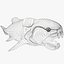 Dunkleosteus