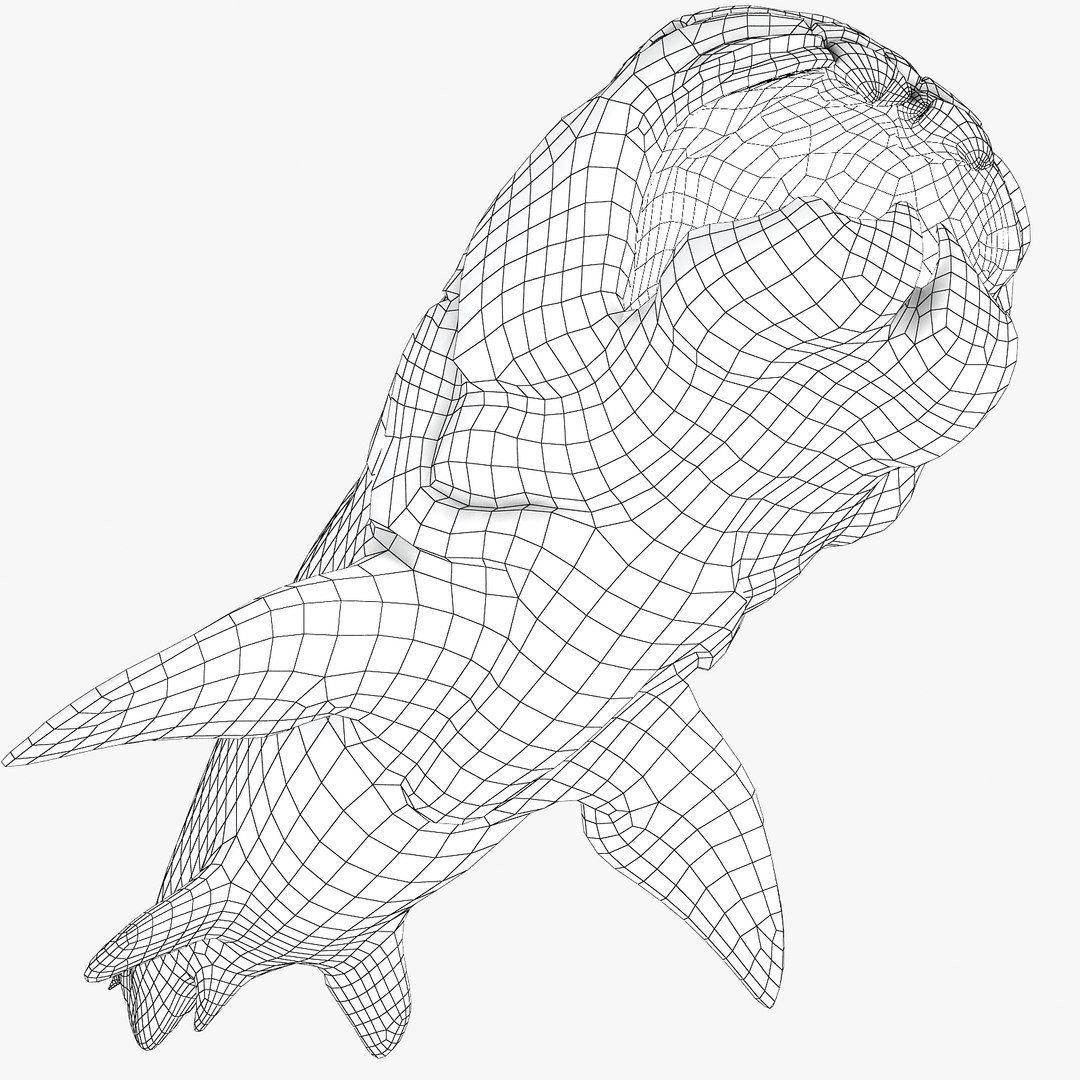 max dunkleosteus fishes devonian https://p.turbosquid.com/ts-thumb/Td/aABz5i/qfCrGInL/m3/jpg/1373233373/1920x1080/fit_q87/c05cdd21600ab06c5828c13ef0dfbc6961ab945f/m3.jpg
