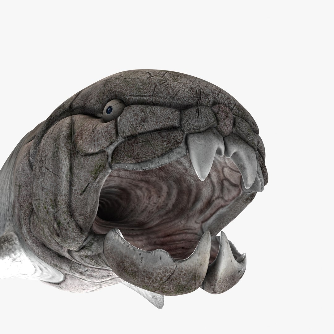 Max Dunkleosteus Fishes Devonian