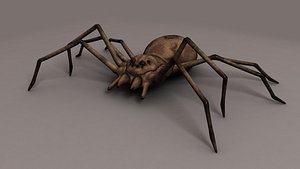 spider 3d ma