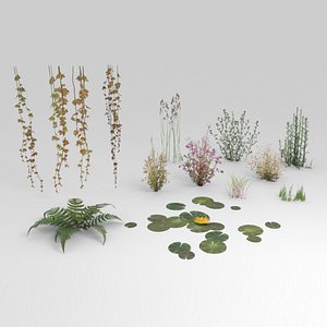 3D low-poly plants model